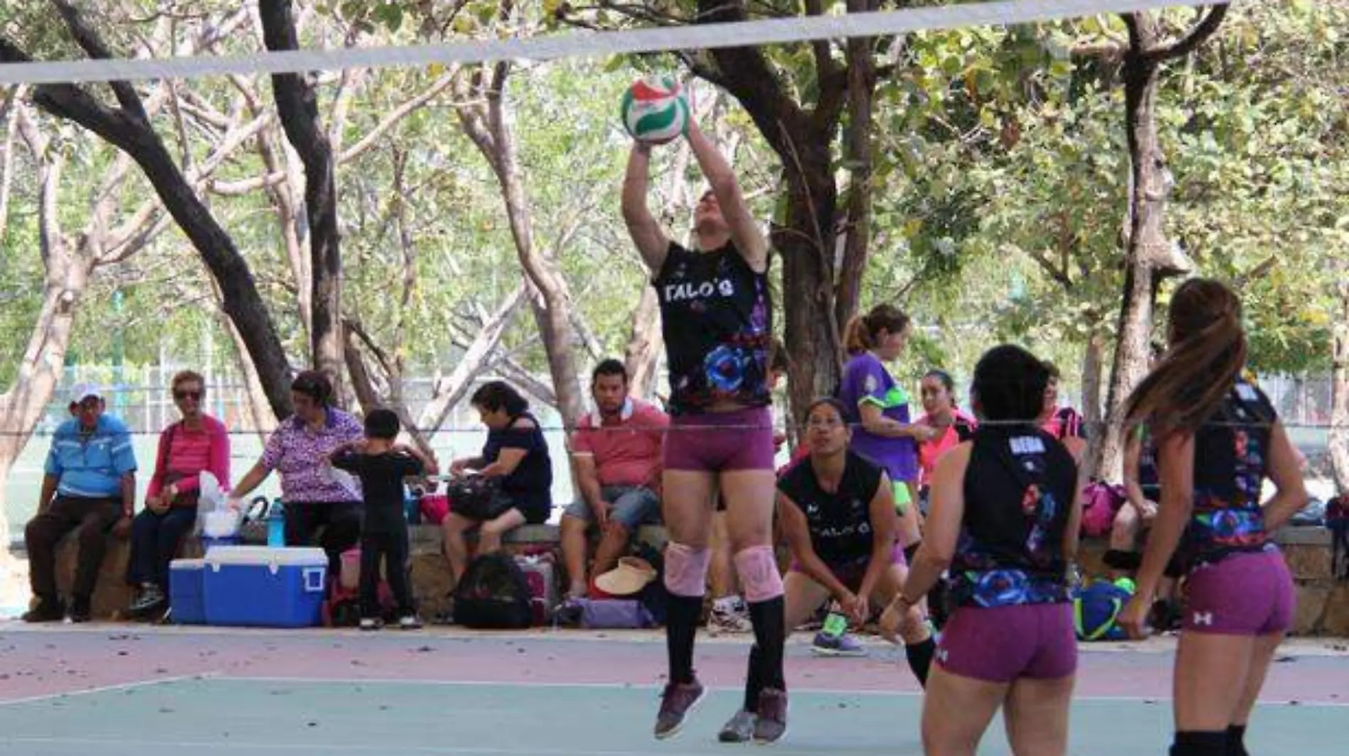 VOLEIBOL HS (1)